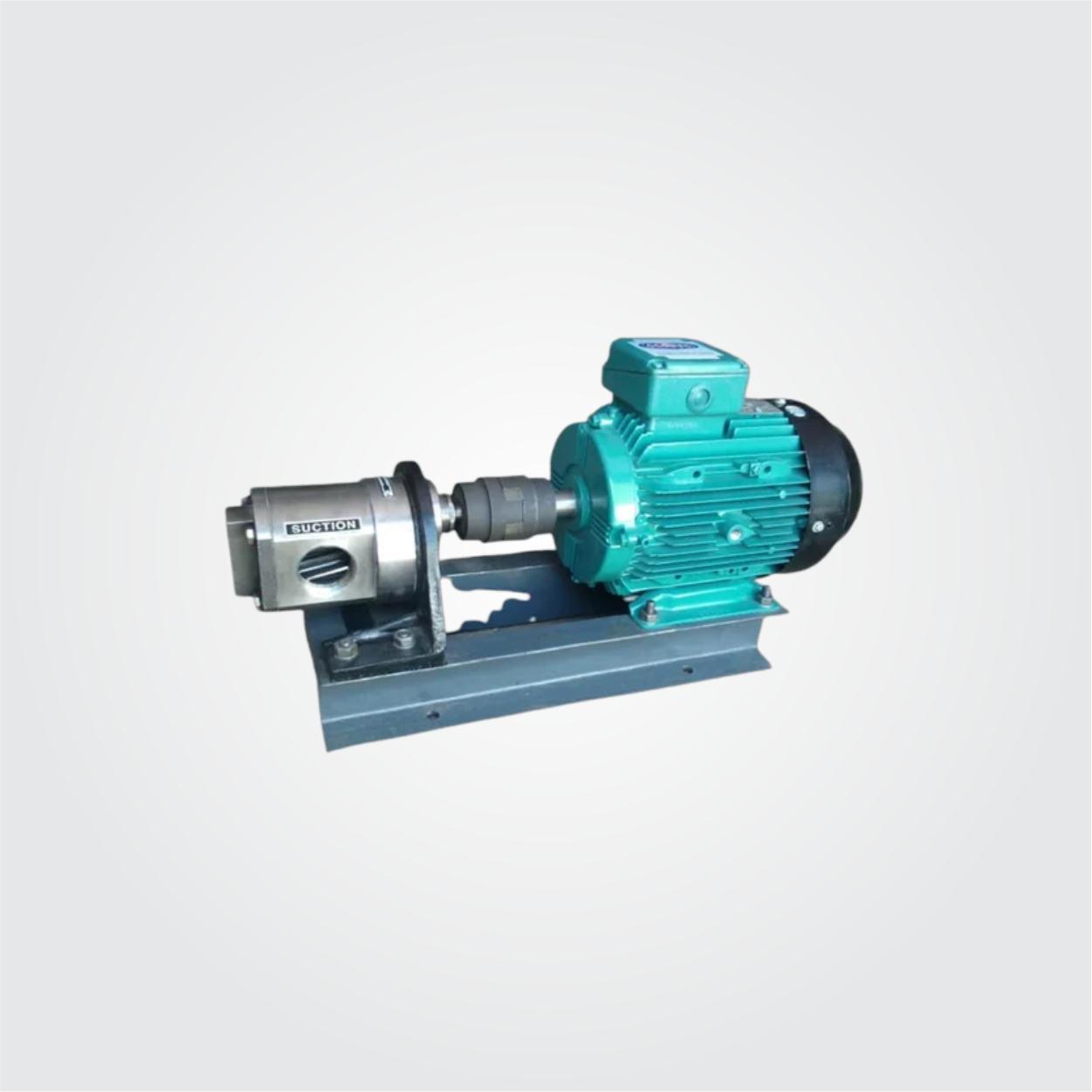 Rotary Ss Gear Pumps