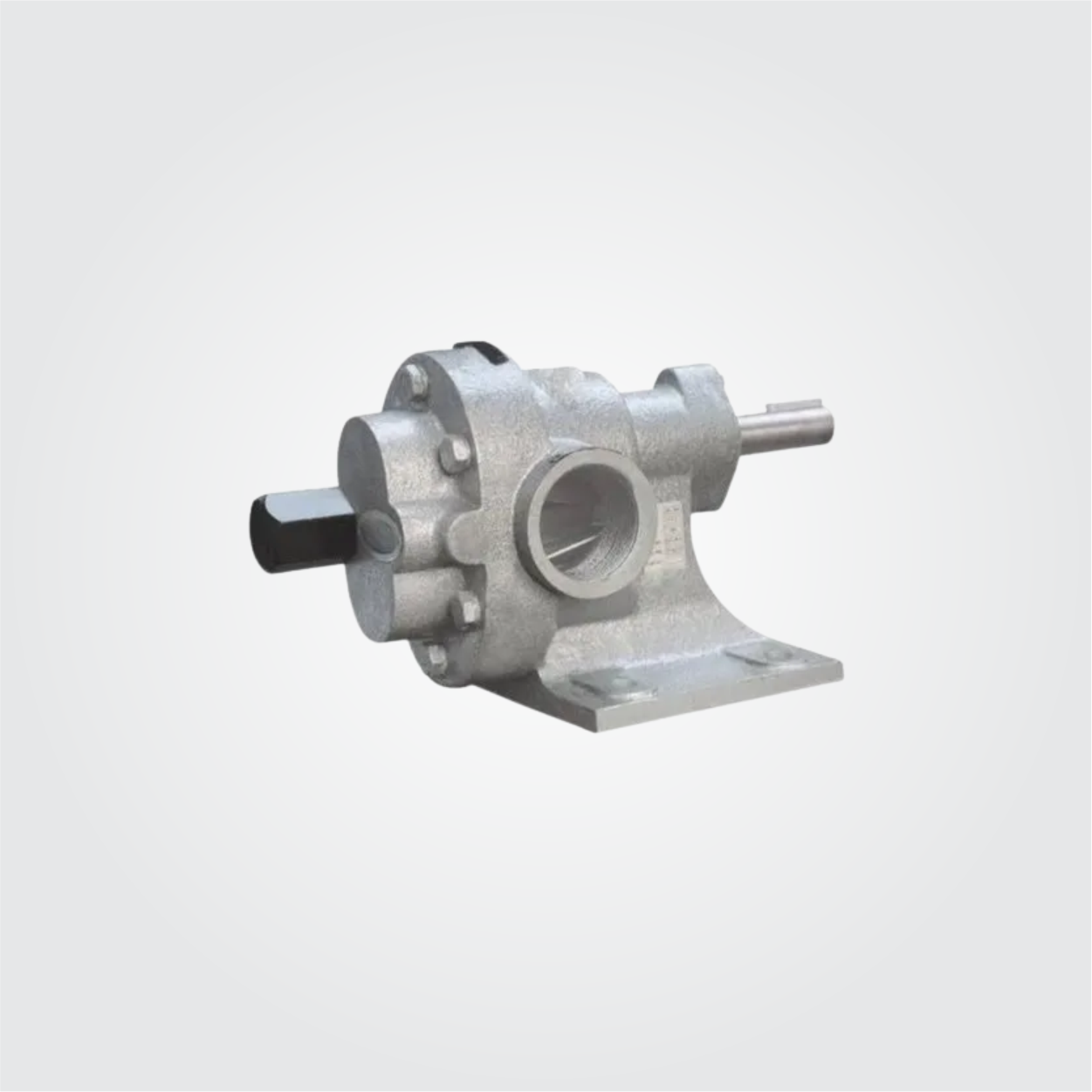 Rotary External Gear Pumps